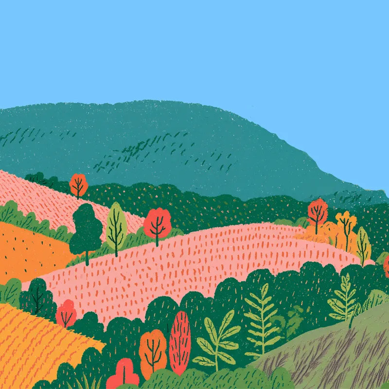 Portada del reporte anual 2025: ilustración de un paisaje de montañas y cultivos